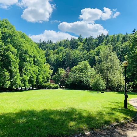 Romanceart Apartments Karlovy Vary Kültér fotó